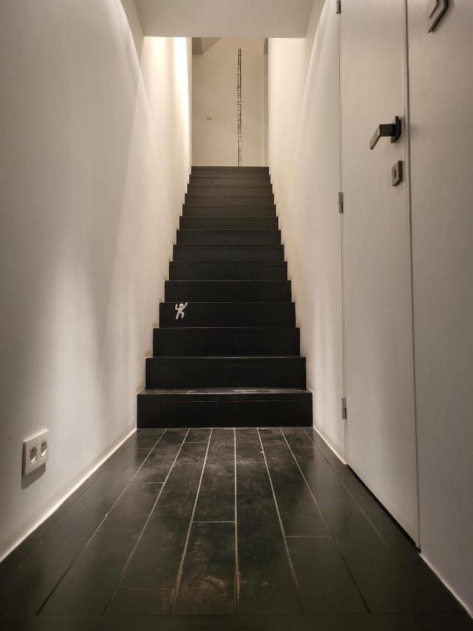 Gezellige Moderne Woning Met Zwemvijver Halle  Exteriér fotografie